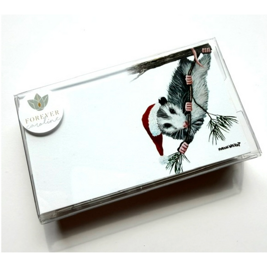 Whimsical Opossum Santa "Love Notes" Pack of 60 Tiny Cards