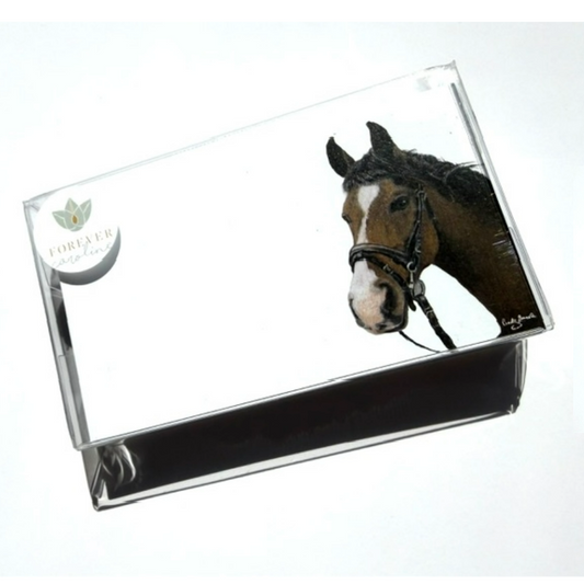 Horse “Love Notes” Pack of 60 Tiny Cards