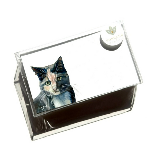 Gray Tabby Cat “Love Notes” Pack of 60 Tiny Cards