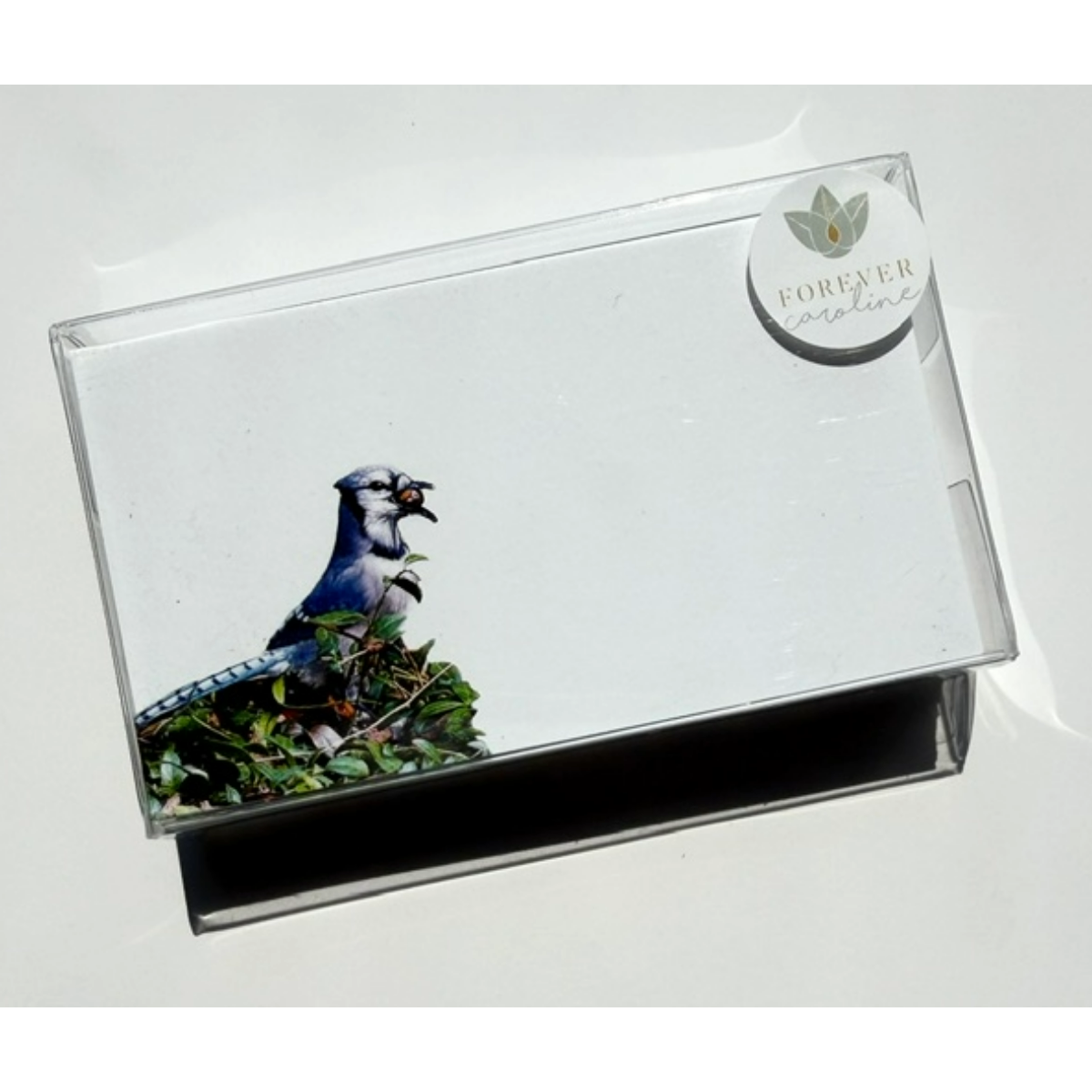 Blue Jay "Love Notes" Pack of 60 Tiny Bird Cards