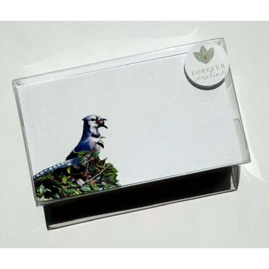 Blue Jay "Love Notes" Pack of 60 Tiny Bird Cards