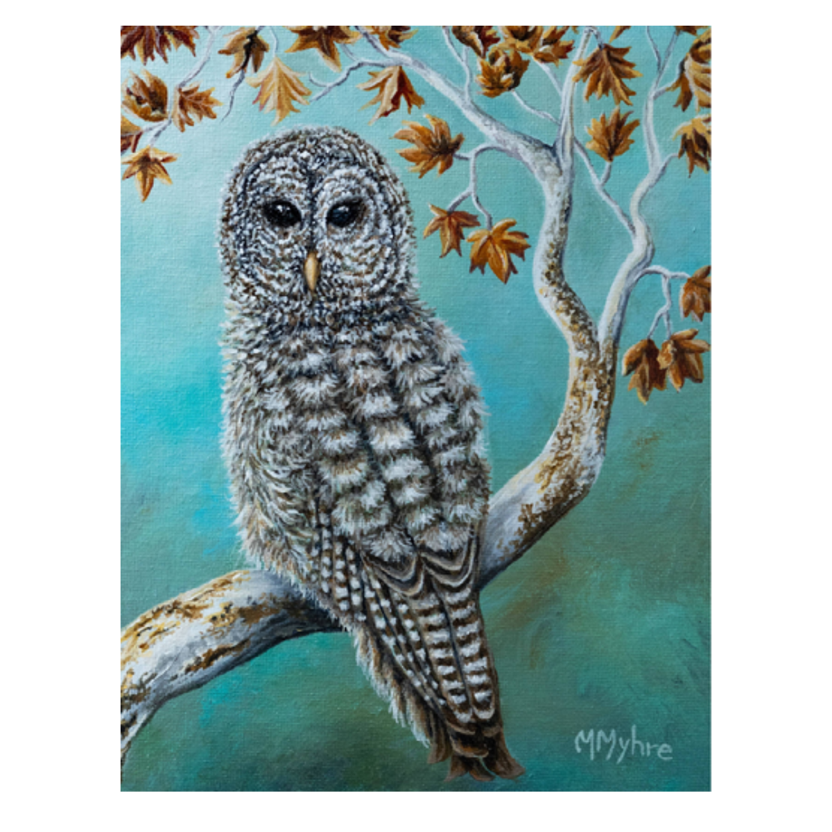 Owl on Sycamore Tree Fine Art Notecard | Single Card or Boxed Set of 4, 8 or 20