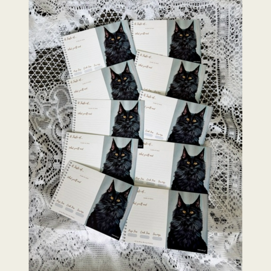 Recipe Cards Gift Set w/ Black Cat Artwork | 10, 20 or 40 Cards