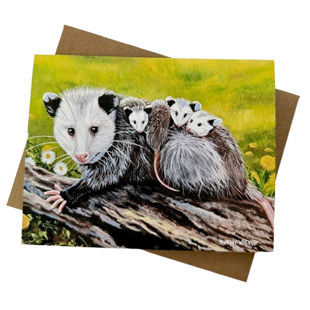 Opossum Family All-Occasion Blank Notecard