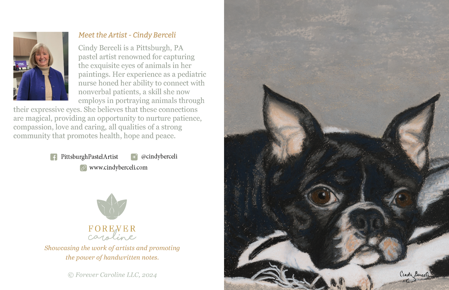 Dog Favorites All-Occasion Boxed Notecard Set | 4 Card Set