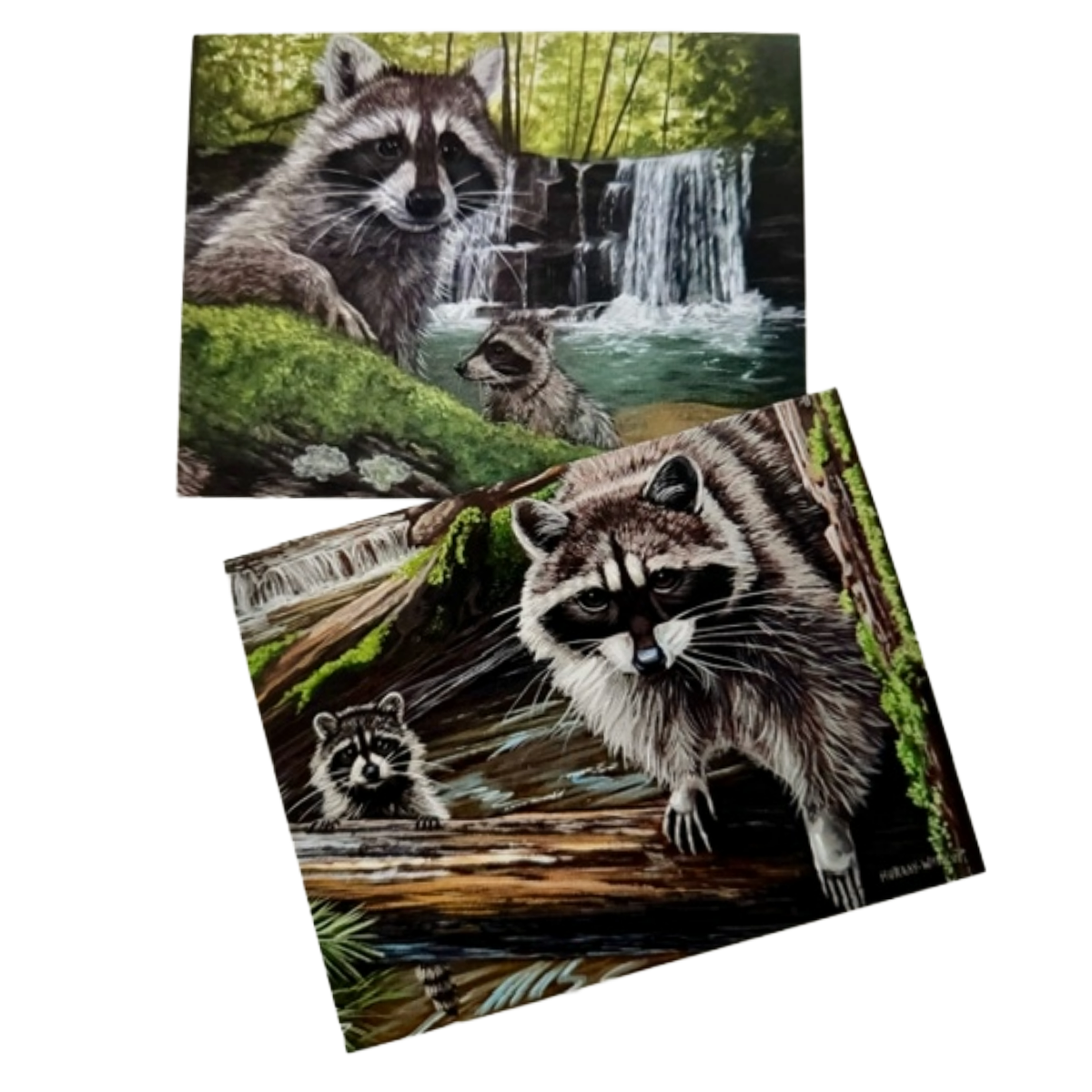 Raccoon Family All-Occasion Notecard Set | 4 Card Set