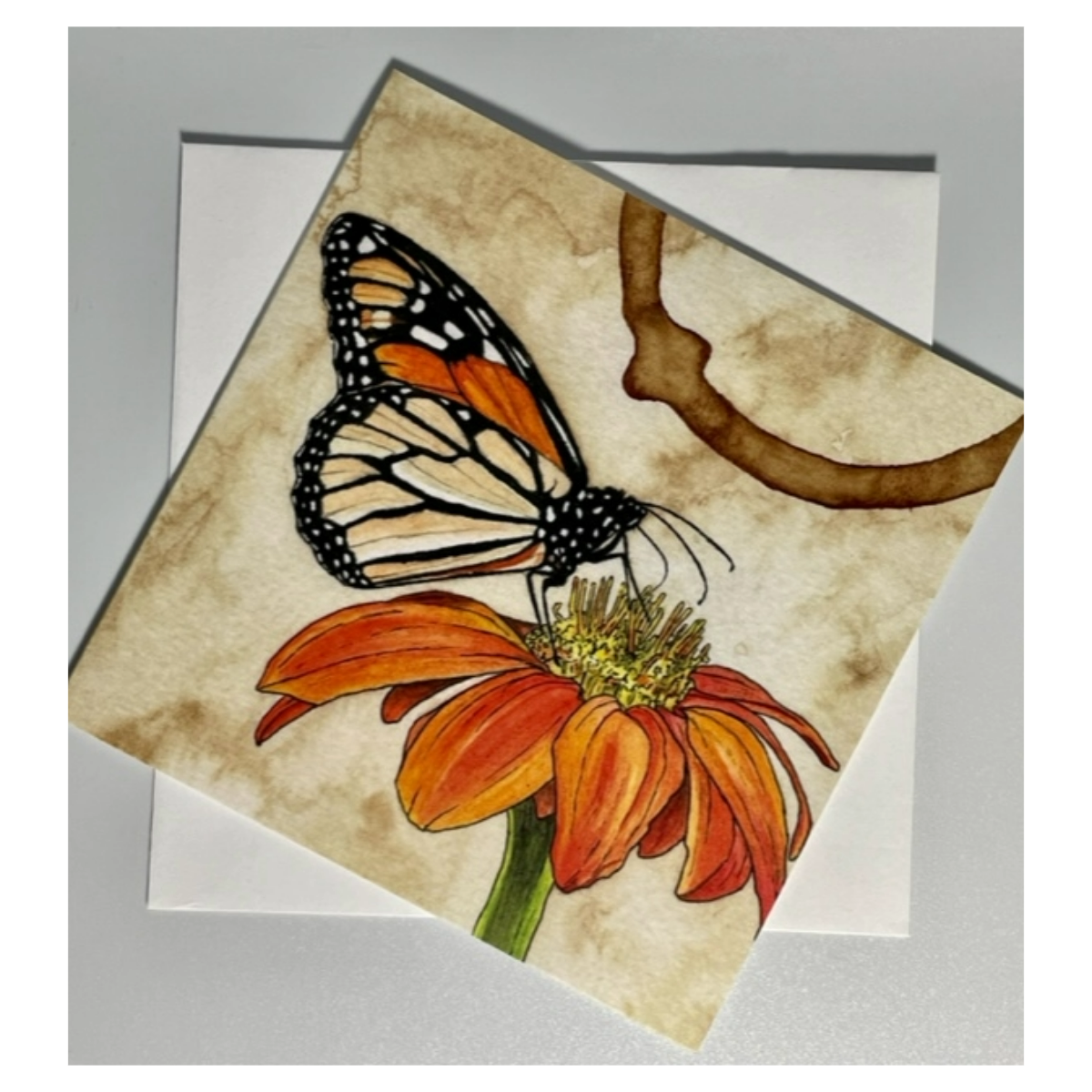 Peterson Monarch Butterfly Single Notecard