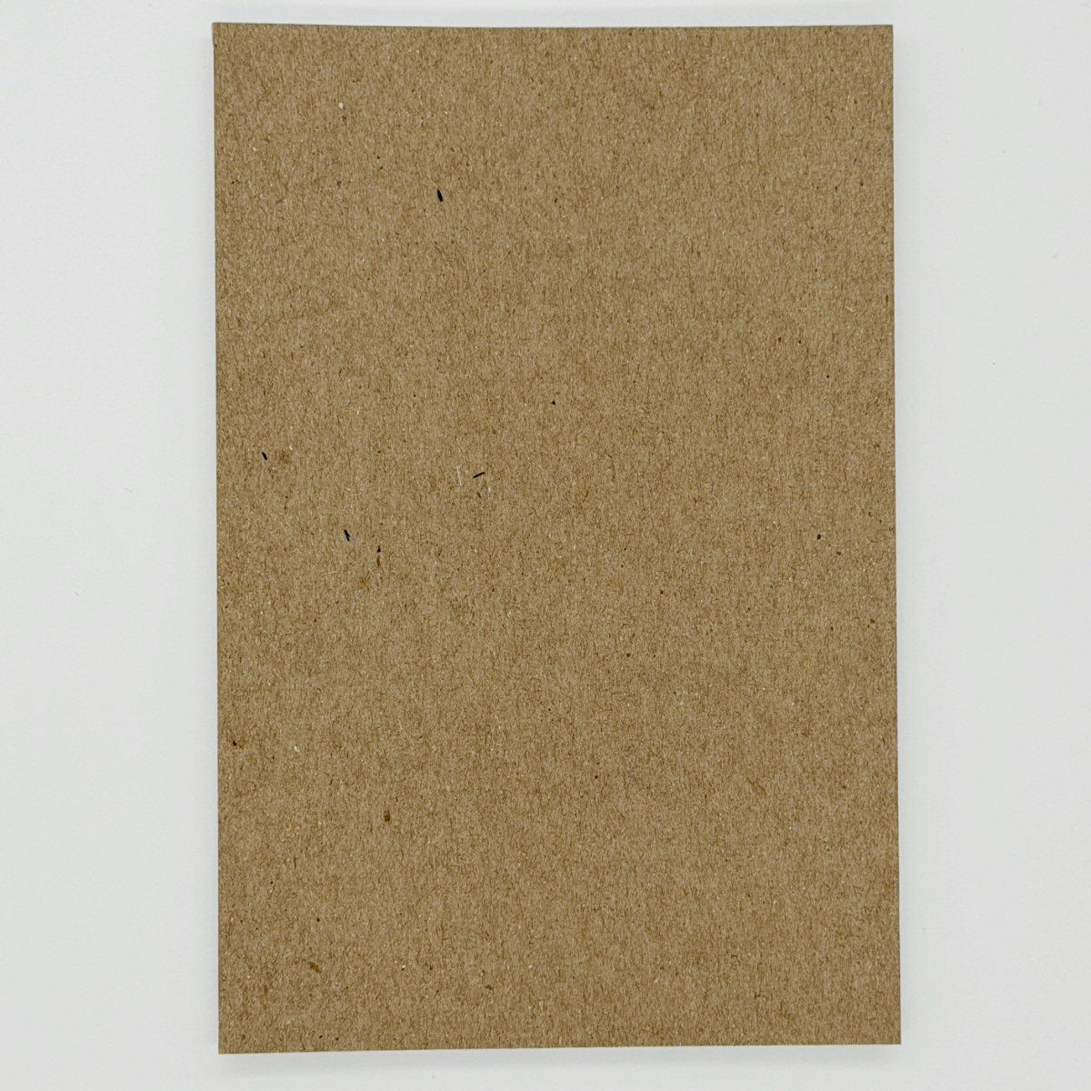 Busy, Busy, Busy Bee Pocket Notepad