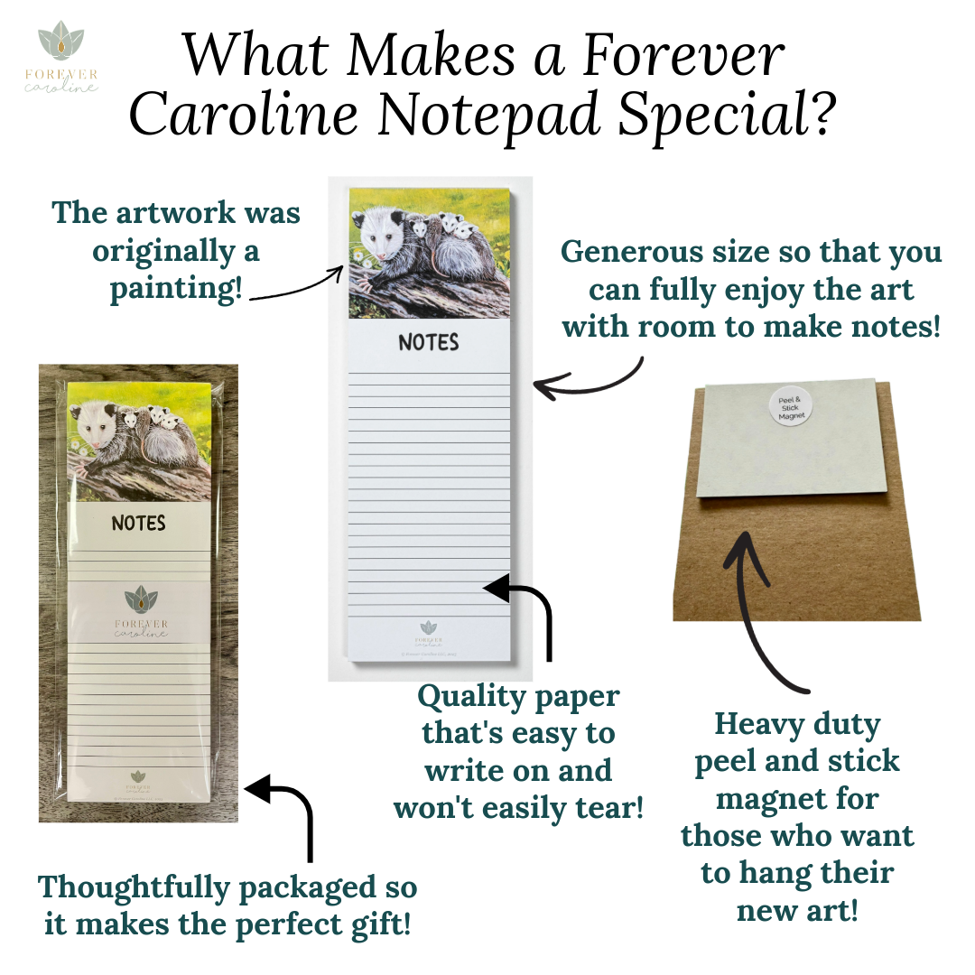 Bear with Butterfly Magnetic Notepad & Matching Card Gift Set