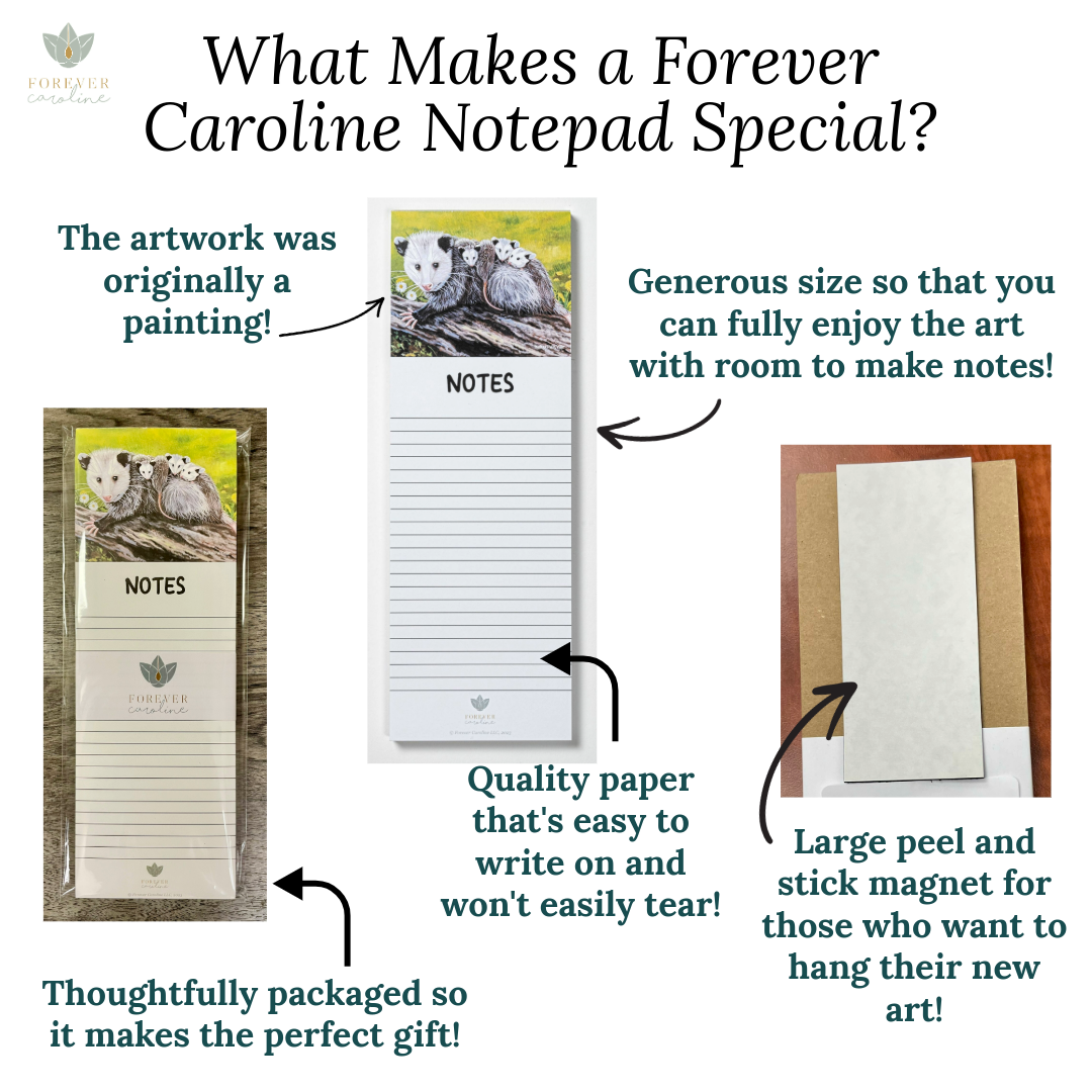 Magnetic Notepad with Whimsical Hummingbird Artwork