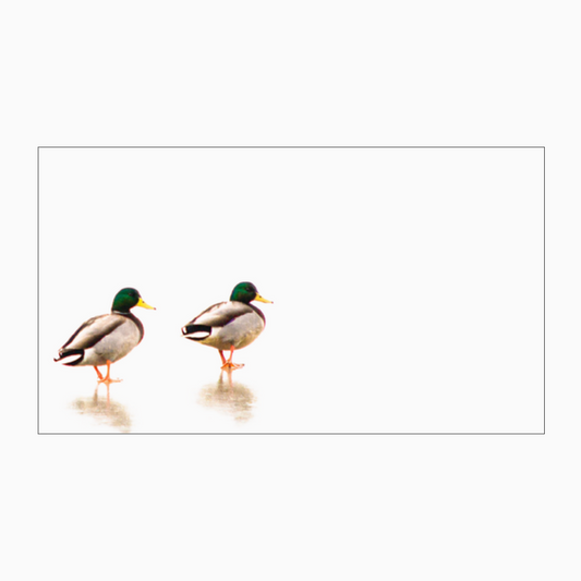 Mallard Ducks "Love Notes" Pack of 60 Tiny Cards