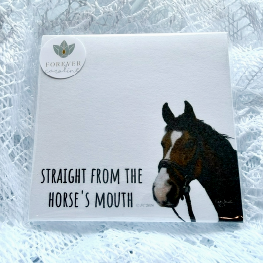 Sticky Notes w/ Horse Painting and "Straight From the Horse's Mouth" | 50 Sheets