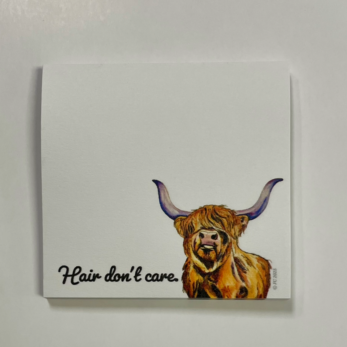 Sticky Notes w/ Highland Cow Painting and "Hair Don't Care" | 50 Sheets