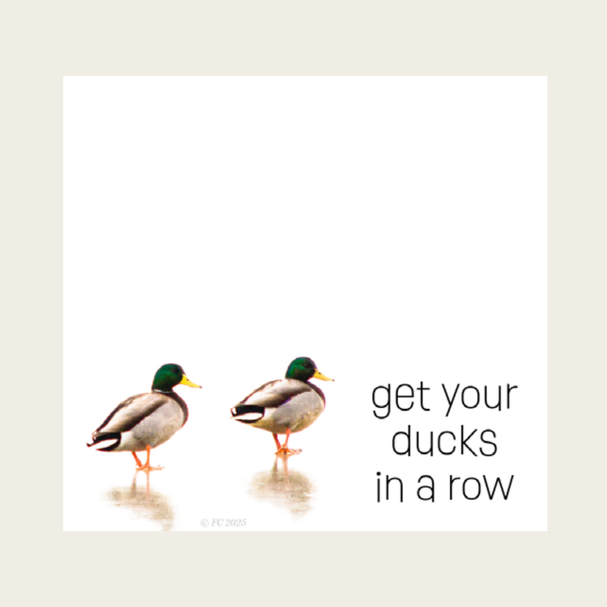 Sticky Notes w/ Mallard Ducks | "Get Your Ducks in a Row"