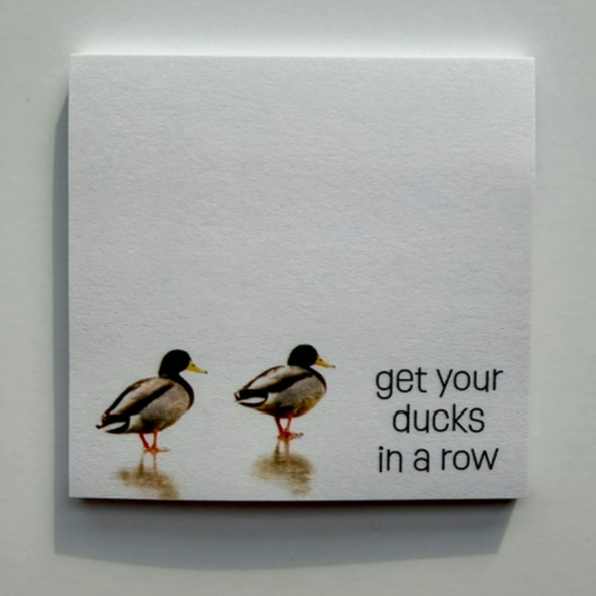 Sticky Notes w/ Mallard Ducks | "Get Your Ducks in a Row"