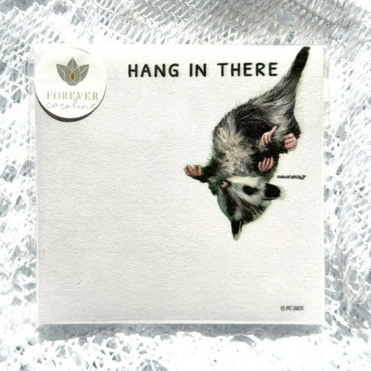 Sticky Notes w/ Whimsical Opossum Painting and "Hang in There" | 50 Sheets