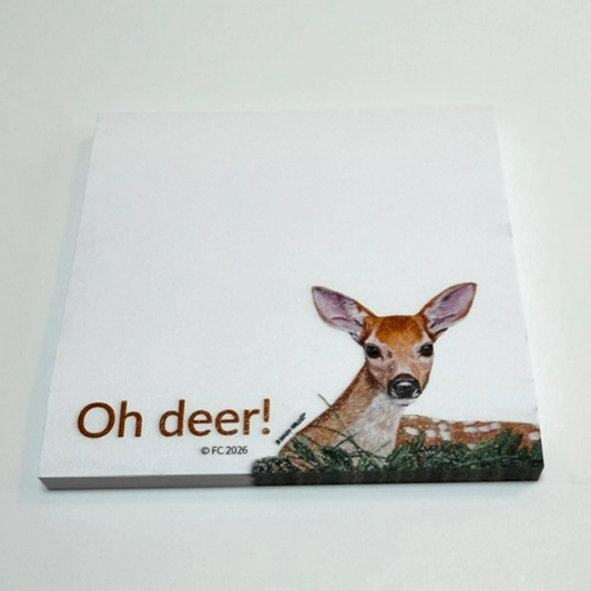 Sticky Notes w/ Resting Fawn - "Oh Deer!"