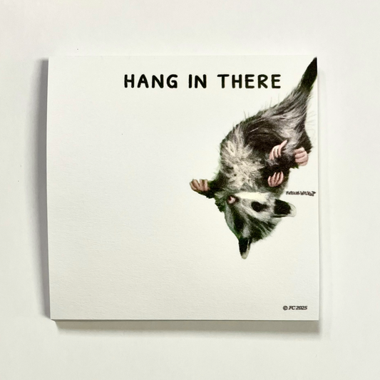 Sticky Notes w/ Whimsical Opossum Painting and "Hang in There" | 50 Sheets