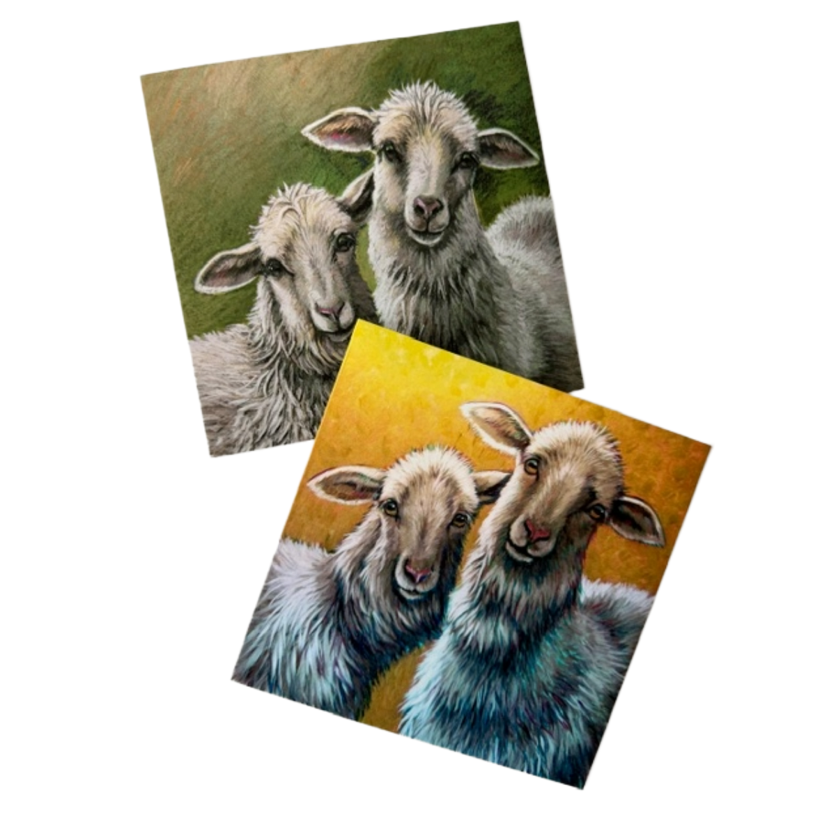 Sheep Twins All-Occasion Blank Notecard Set | 4 Card Set