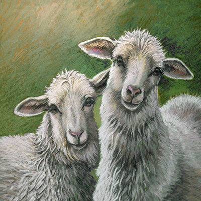 Crowder Sheep Twins Square Notecard Set